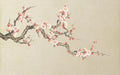 Plum Blossom Wallpaper Mural | Pink and White Plum Blossom Decorative Wallpaper - Carving wallpaper