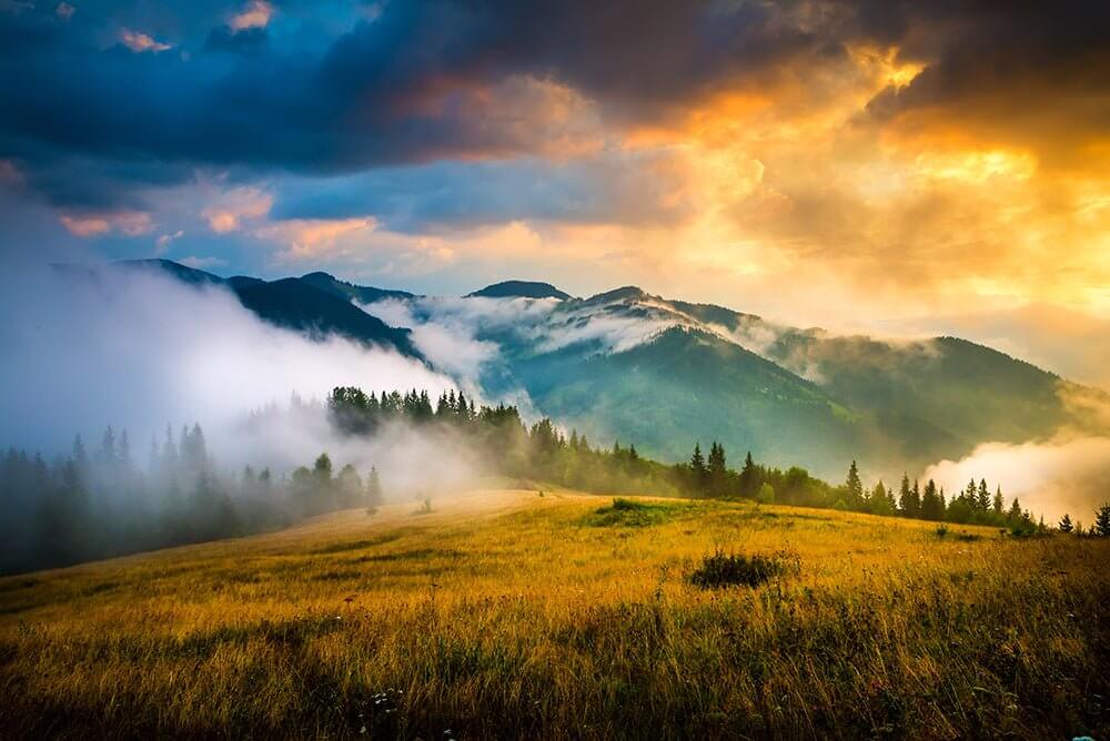Poetic Misty Mountain Wallpaper Mural | Golden Sunlight & Ethereal Forest Scenery