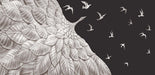 Relief feather bird wallpaper | black and white wing decoration mural