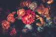 Retro dark floral wallpaper mural | Orange roses with oil painting texture - Carving wallpaper