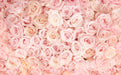 Romantic Pink Rose Mural | Full Wall Pink Rose Wallpaper - Carving wallpaper