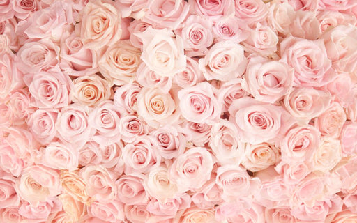 Romantic Pink Rose Mural | Full Wall Pink Rose Wallpaper - Carving wallpaper