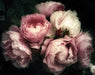 Rose Wallpaper Mural | Large Flower Mural - Carving wallpaper