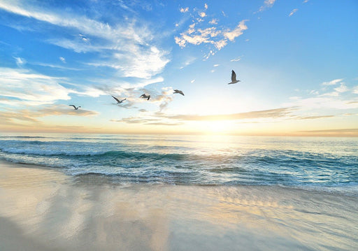 Sea View Sunrise Wallpaper Mural | Blue Sky, Waves, Beach, and Soaring Seagulls - Carving wallpaper
