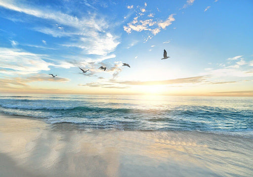 Sea View Sunrise Wallpaper Mural | Blue Sky, Waves, Beach, and Soaring Seagulls