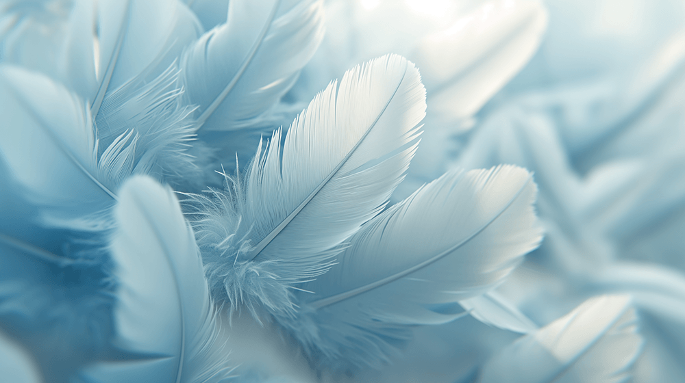 Serene Blue Feather Wall Mural - Healing Décor for Bedroom & Study | Elegant Soft Focus Design