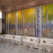 Straight trunk wallpaper mural | poplar forest - Carving wallpaper