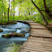 Stream Wooden Bridge Wallpaper Mural | Forest - Carving wallpaper