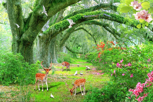 Sunlit Deer Haven Wallpaper Mural - Enchanted Forest with Doves & Wildflowers in Lush Greenery