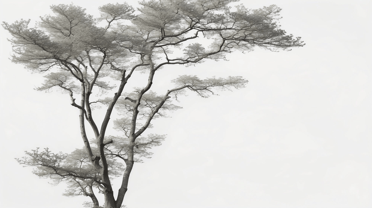 Tree wallpaper black and white realistic - Carving wallpaper