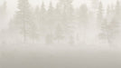Tree Wallpaper Mural | Abies Forest Neutral Tone - Carving wallpaper