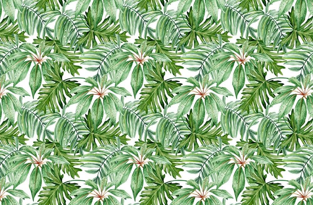 Tropical Green Leaf Mural | Nature-Forward Wallpaper for French Home with lush green tropical leaves on white background