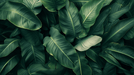 Tropical Green Leaf Wallpaper Mural – Natural Botanical Decor for Living Room & Bedroom
