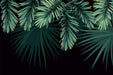 Tropical green plant wallpaper mural | Forest style decorative wall in living room and bedroom