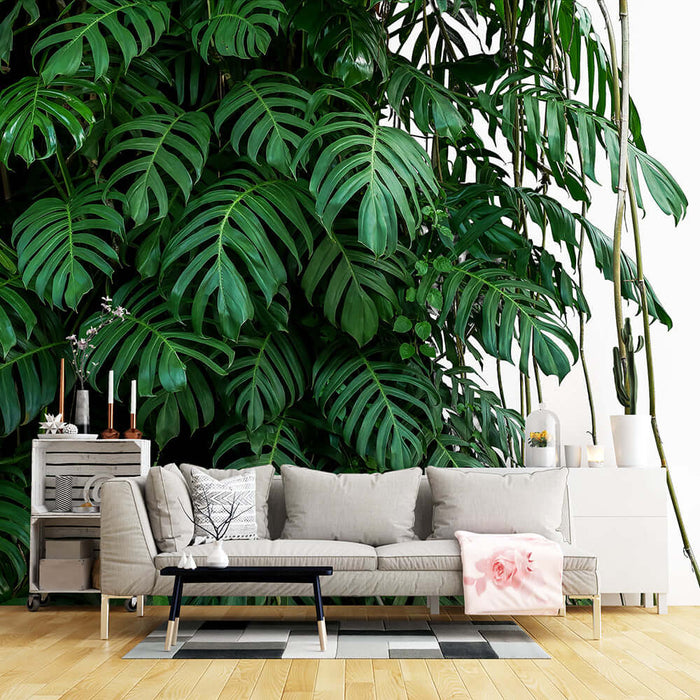 Tropical Leaf Wallpaper Mural | Natural Green Plant Background Wall — lush monstera-like leaves backdrop behind modern living room sofa for vibrant tropical vibe