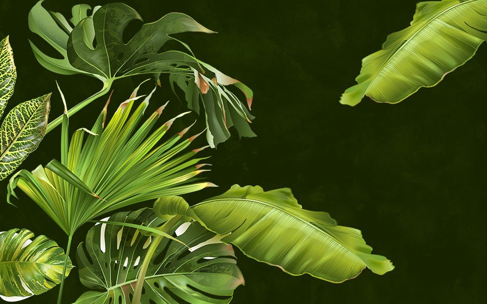 Tropical plant leaf mural | Fresh green broad - leaved wallpaper - Carving wallpaper