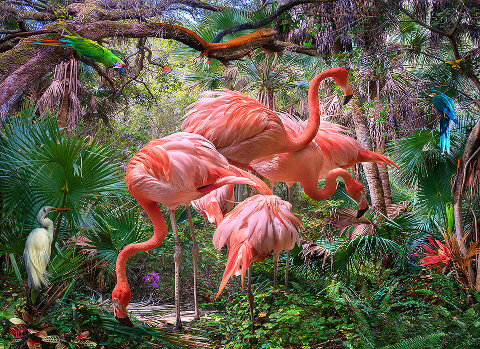 Tropical Rainforest Flamingo Wallpaper | Forest Animal Mural - vibrant pink flamingos amid lush tropical rainforest foliage