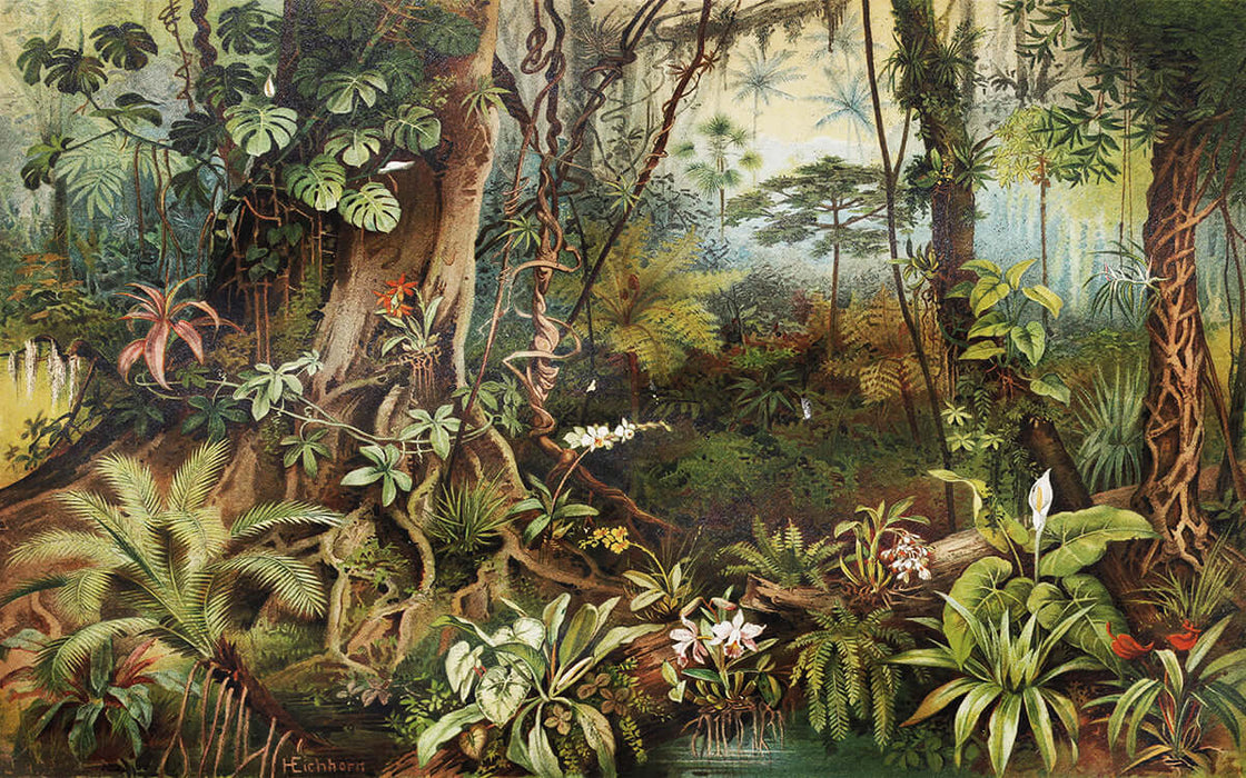 Tropical Rainforest Landscape Wallpaper Mural | Retro Jungle