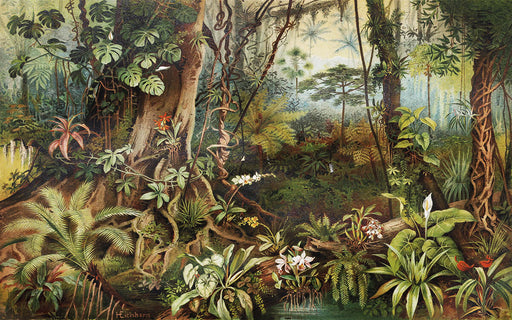 Tropical Rainforest Landscape Wallpaper Mural | Retro Jungle