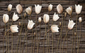 Tulip wallpaper mural | antique wood background - Carving wallpaper