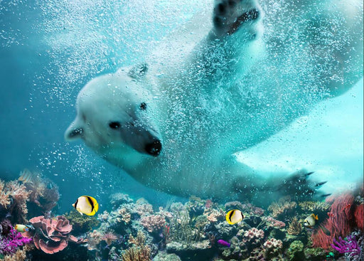 Underwater Polar Bear Children's Fun Wallpaper Mural | Dreamy and Cute - Carving wallpaper