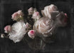 Vintage Rose Art Wallpaper | Dark toned Flower Mural - dark background with layered oil painting style roses and delicate petals