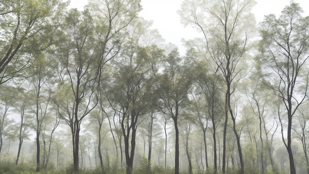 Wallpaper Tree | Forest Green Leaves - Carving wallpaper