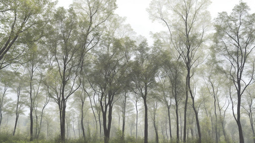 Wallpaper Tree | Forest Green Leaves - Carving wallpaper